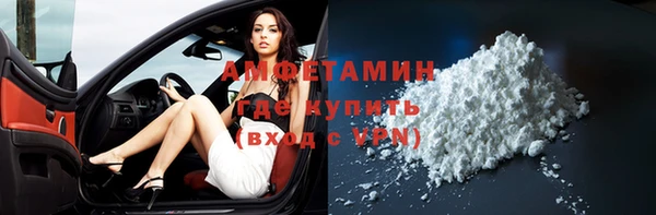 винт Лагань