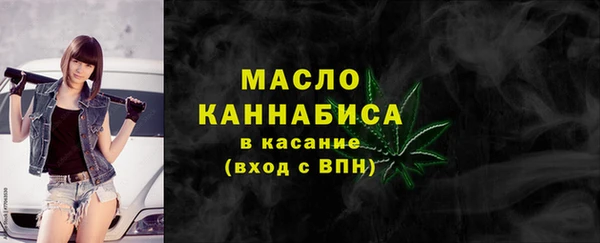 винт Лагань