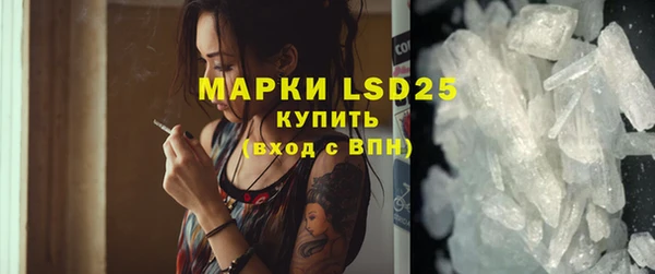 PSILOCYBIN Ладушкин
