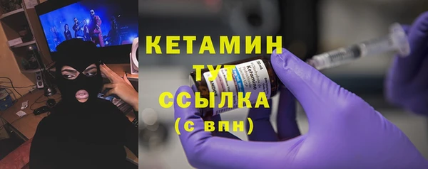 винт Лагань