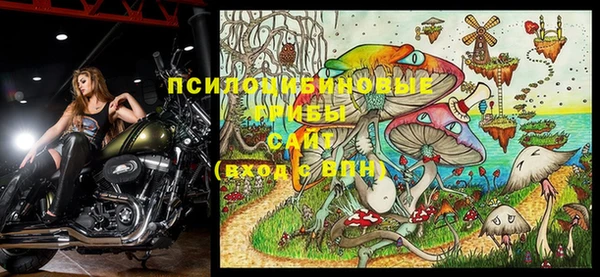 PSILOCYBIN Ладушкин