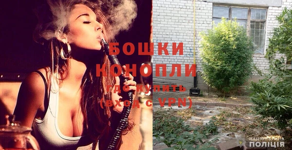 винт Лагань