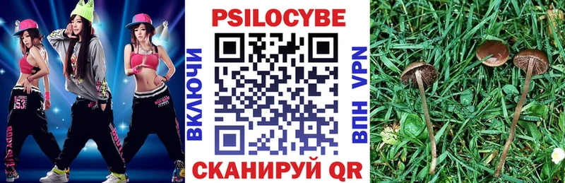 Галлюциногенные грибы MAGIC MUSHROOMS  Купить где  Октябрьск 